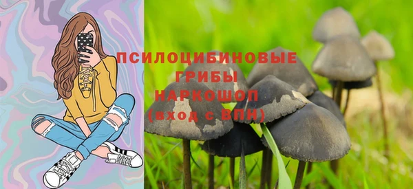 стаф Нея