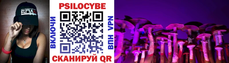 Купить где  Шебекино  Галлюциногенные грибы Psilocybe 